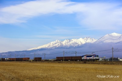 Zobrazi� cel� fotku