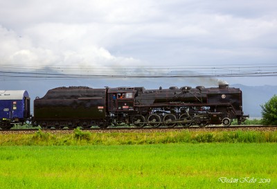 Zobrazi� cel� fotku