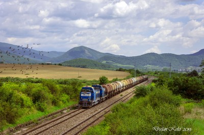 Zobrazi� cel� fotku