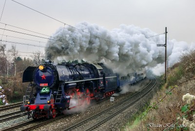 Zobrazi� cel� fotku