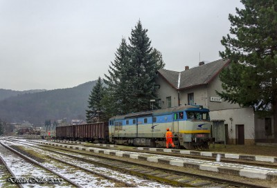 Zobrazi� cel� fotku