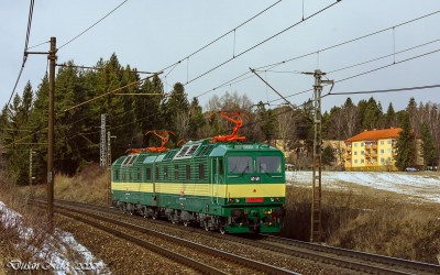 Zobrazi� cel� fotku