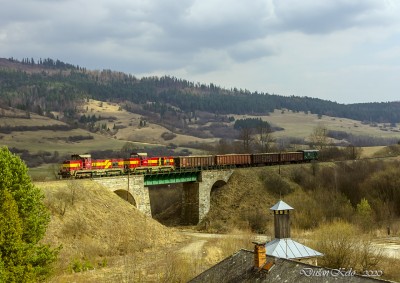 Zobrazi� cel� fotku