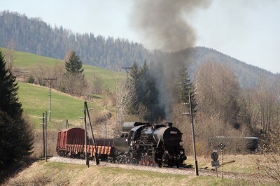 Zobrazi� cel� fotku