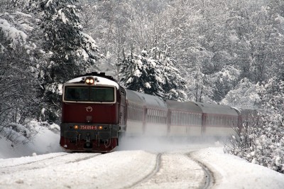 Zobrazi� cel� fotku