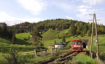 Zobrazi� cel� fotku