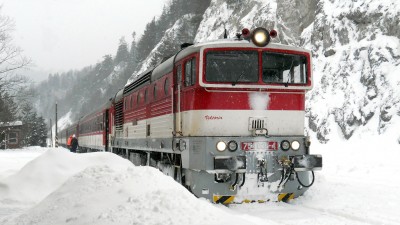 Zobrazi� cel� fotku