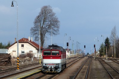 Zobrazi� cel� fotku