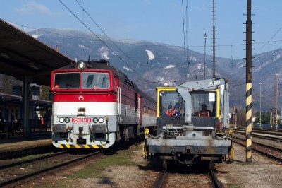 Zobrazi� cel� fotku