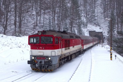 Zobrazi� cel� fotku