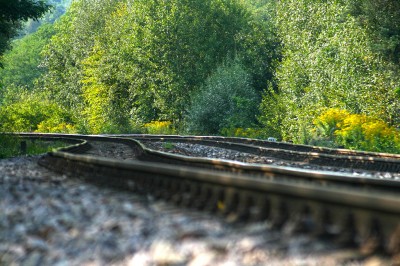 Zobrazi� cel� fotku