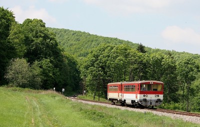 Zobrazi� cel� fotku