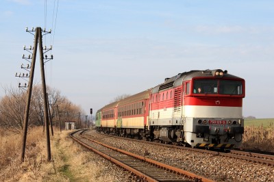 Zobrazi� cel� fotku