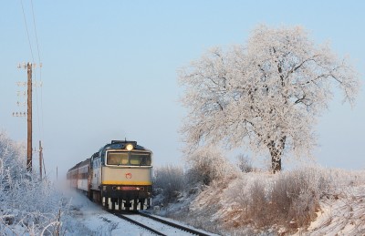 Zobrazi� cel� fotku