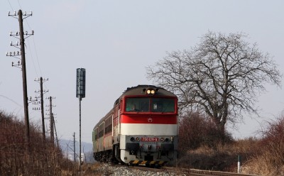 Zobrazi� cel� fotku