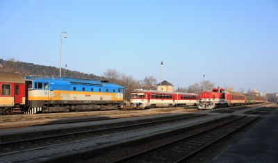 Zobrazi� cel� fotku