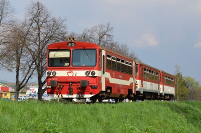 Zobrazi� cel� fotku