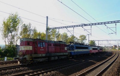Zobrazi� cel� fotku