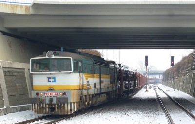 Zobrazi� cel� fotku