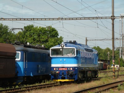 Zobrazi� cel� fotku