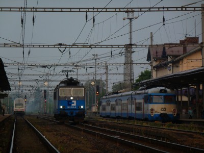 Zobrazi� cel� fotku