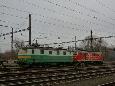 Zobrazi� cel� fotku