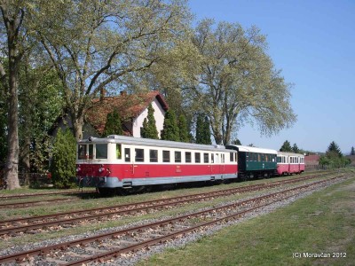 Zobrazi� cel� fotku