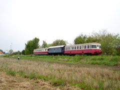 1304275769.JPG