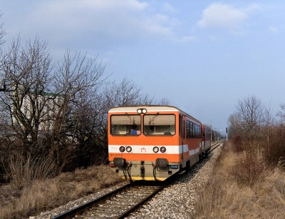 Zobrazi� cel� fotku
