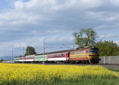 Zobrazi� cel� fotku