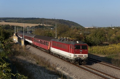 Zobrazi� cel� fotku