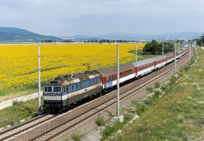 Zobrazi� cel� fotku