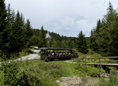 Zobrazi� cel� fotku