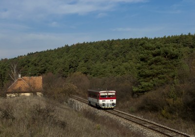 Zobrazi� cel� fotku