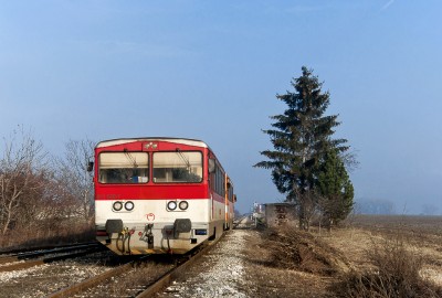 Zobrazi� cel� fotku