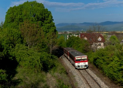 Zobrazi� cel� fotku
