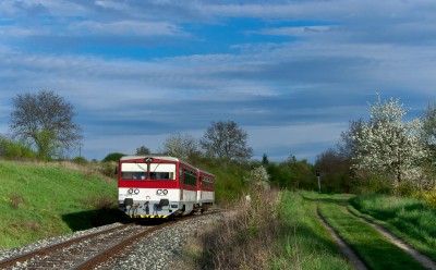 Zobrazi� cel� fotku