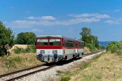 Zobrazi� cel� fotku