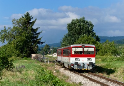 Zobrazi� cel� fotku