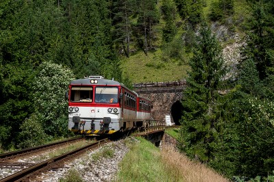 Zobrazi� cel� fotku