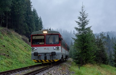 Zobrazi� cel� fotku