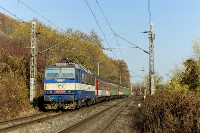 Zobrazi� cel� fotku