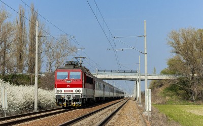 Zobrazi� cel� fotku