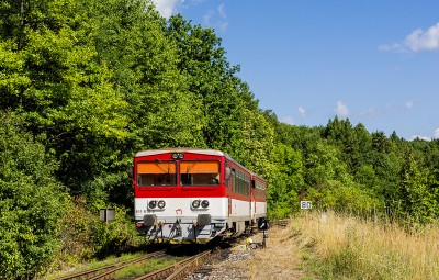 Zobrazi� cel� fotku