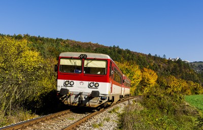 Zobrazi� cel� fotku