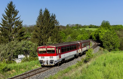 Zobrazi� cel� fotku