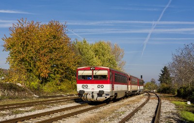 Zobrazi� cel� fotku