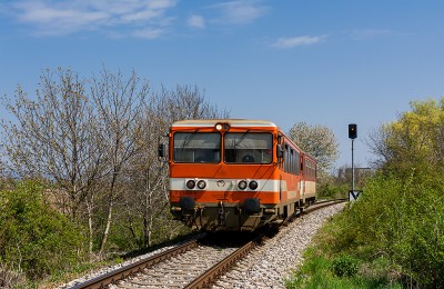 Zobrazi� cel� fotku