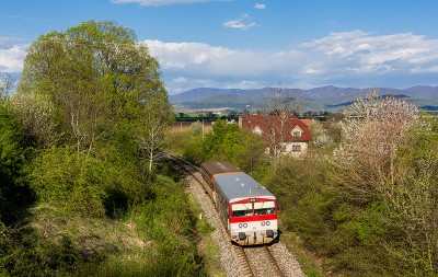 Zobrazi� cel� fotku