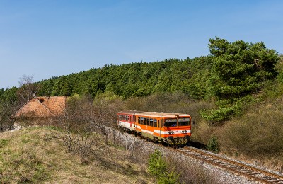 Zobrazi� cel� fotku